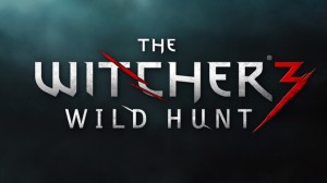 jaquette-the-witcher-3-wild-hunt-pc-cover-avant-g-1371108784