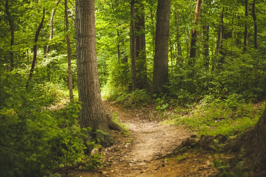 Un parcours de trail est toujours accidenté