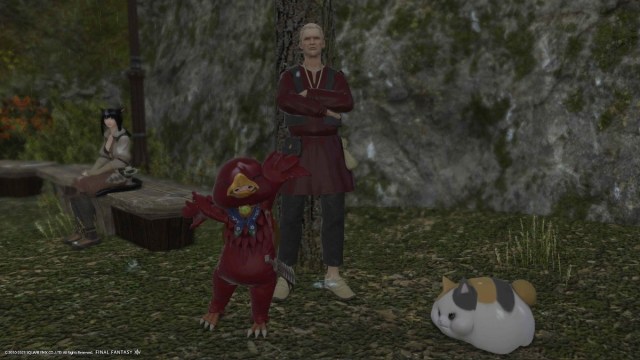 1694795272 461 Comment changer Chocobo Barding dans Final Fantasy XIV