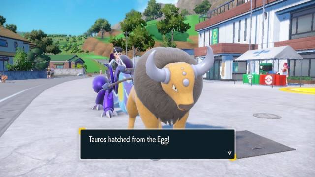 Pokémon Écarlate et Violet Kantonien Tauros éclos