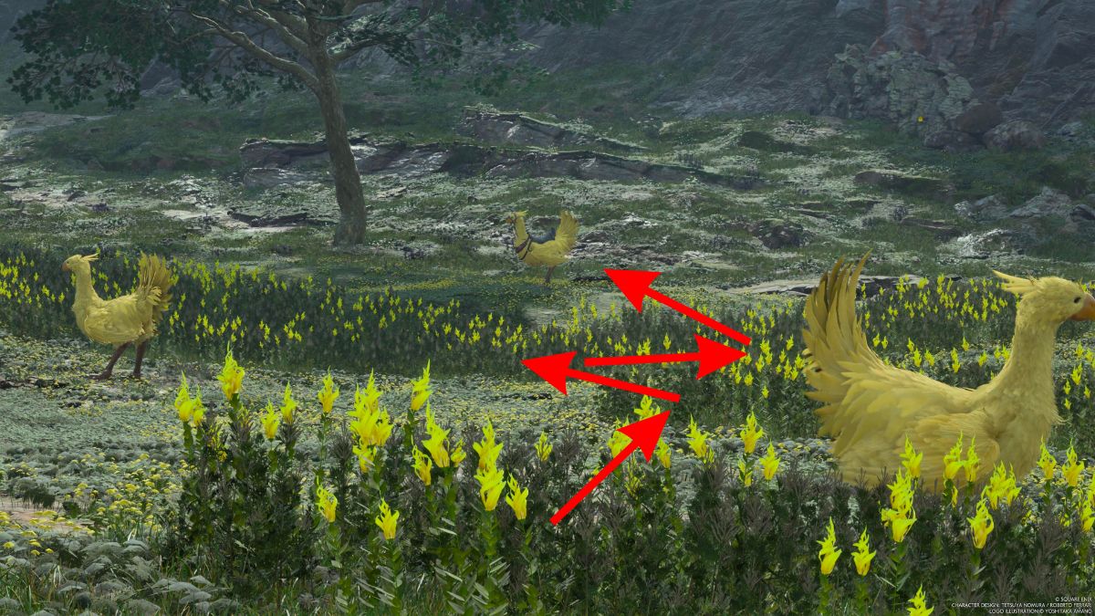 Capture d’écran de la capture de Piko dans Final Fantasy 7 Rebirth.