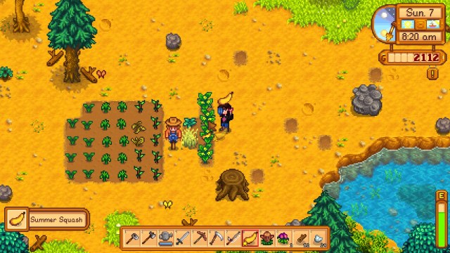 Comment faire pousser des courges dete dans Stardew Valley Mise